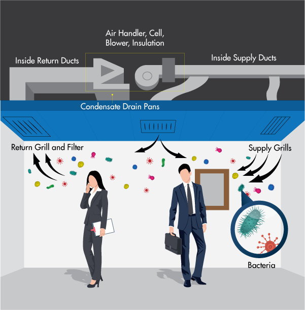 HOW DO BACTERIA AND FUNGUS END UP INSIDE THE AIR CONDITIONER?